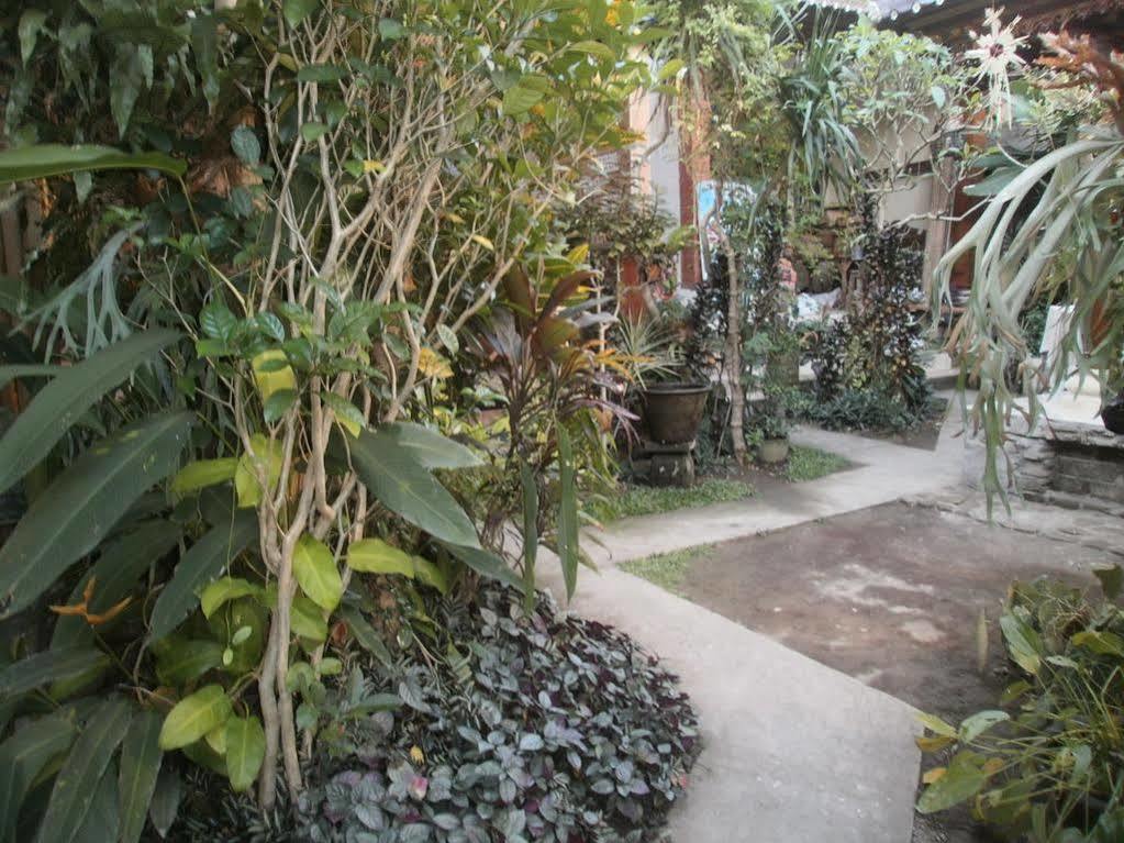 Alamanda Accomodation Ubud Esterno foto